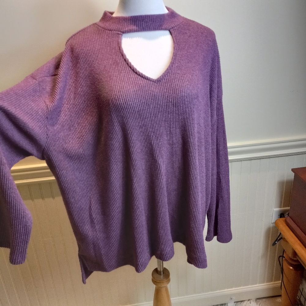 Terra & sky purple top